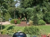 Natuurlijke tuin 4