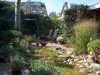 Natuurlijke tuin 3