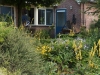 Natuurlijke tuin 5