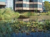 Bedrijfstuin 1