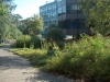 Bedrijfstuin 2