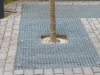 Rooster 2