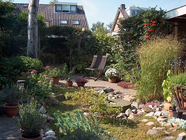 Weelderige begroeiing in de tuin