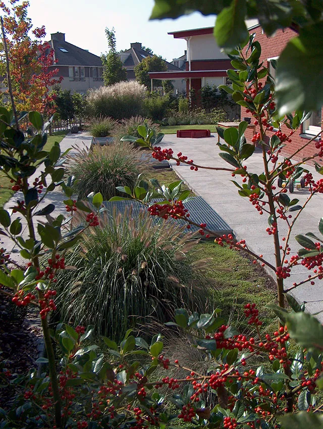 Strakke tuin met borders