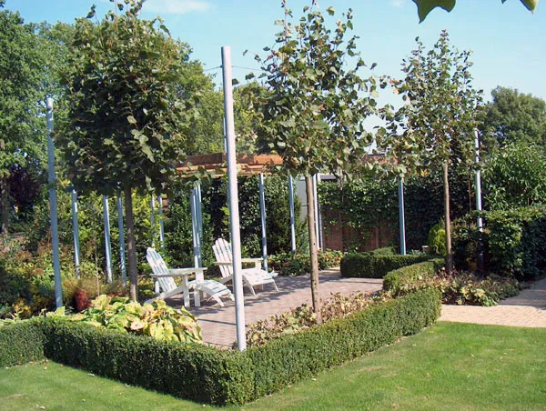 Tuinterras met pergola