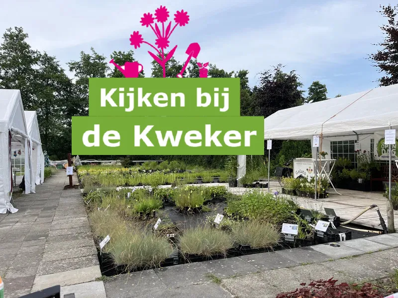 Open dag sfeerbeeld