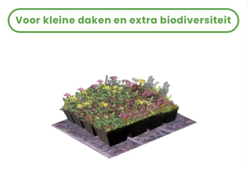 Kruiden-cassettes voor groene daken