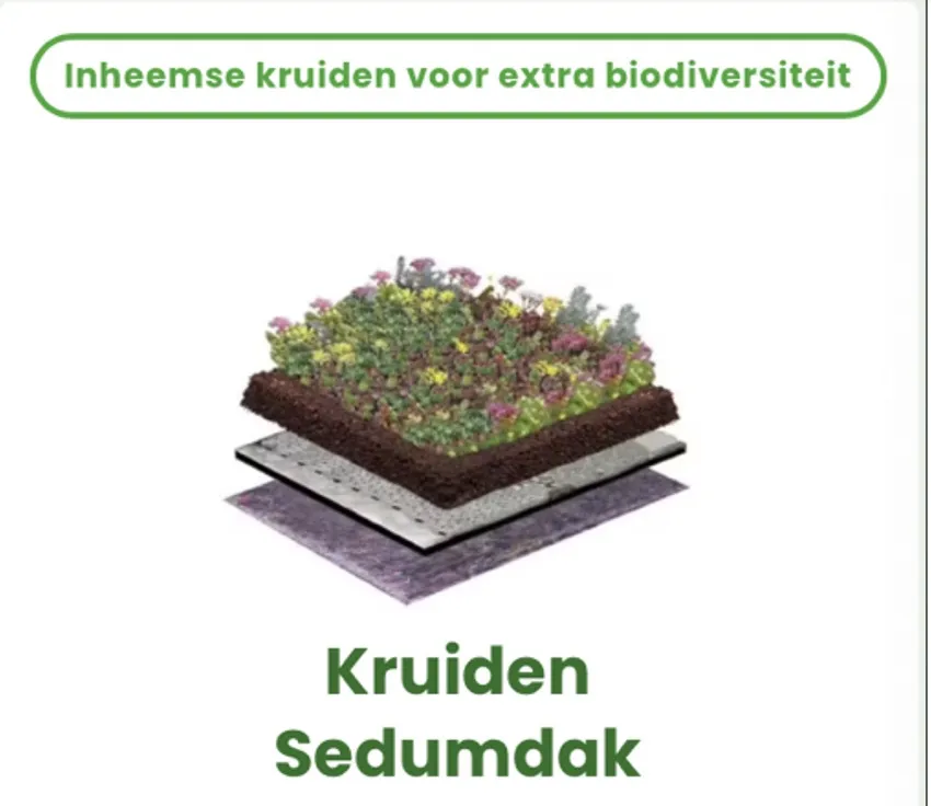 Kruiden op sedumdak bij actie Klimaatkamer