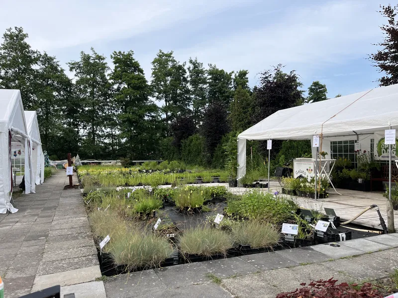 Nieuws en activiteiten van Harco Hoveniers