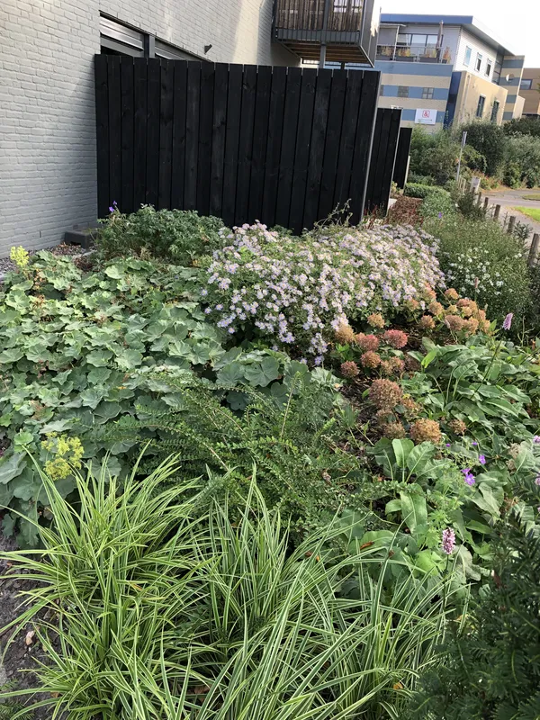 Kleinschalig tuinonderhoud voor een VvE