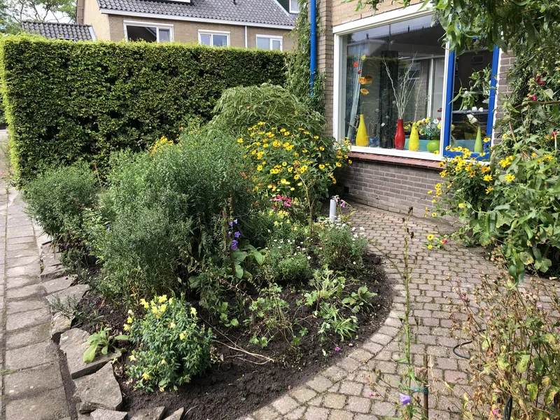 Biodiverse voortuin in onderhoud