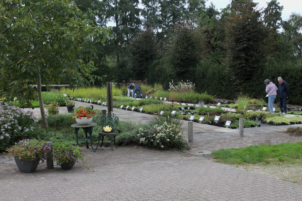 Inheemse vaste planten klaar voor verkoop tijdens de open dag