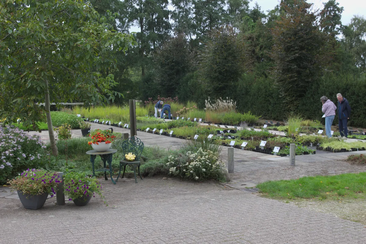 Assortiment inheemse beplanting bij kweker Harco