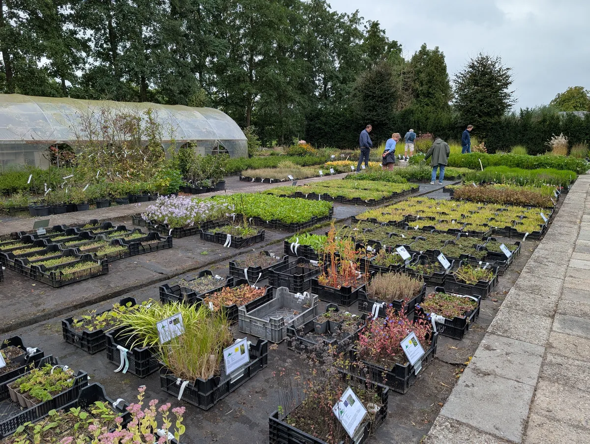Assortiment inheemse planten bij kwekerij Harco in Hoevelaken