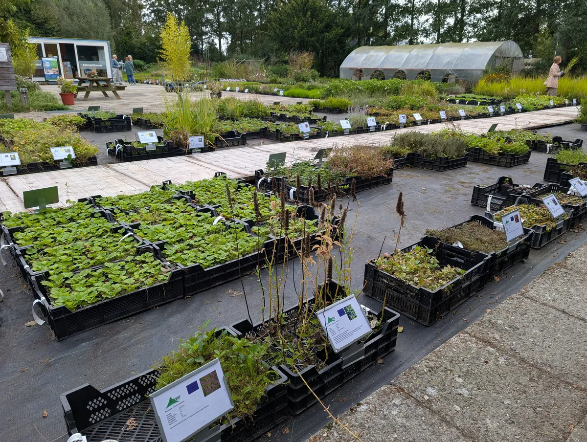 Inheemse planten en kruiden in het assortiment van de kwekerij in Hoevelaken