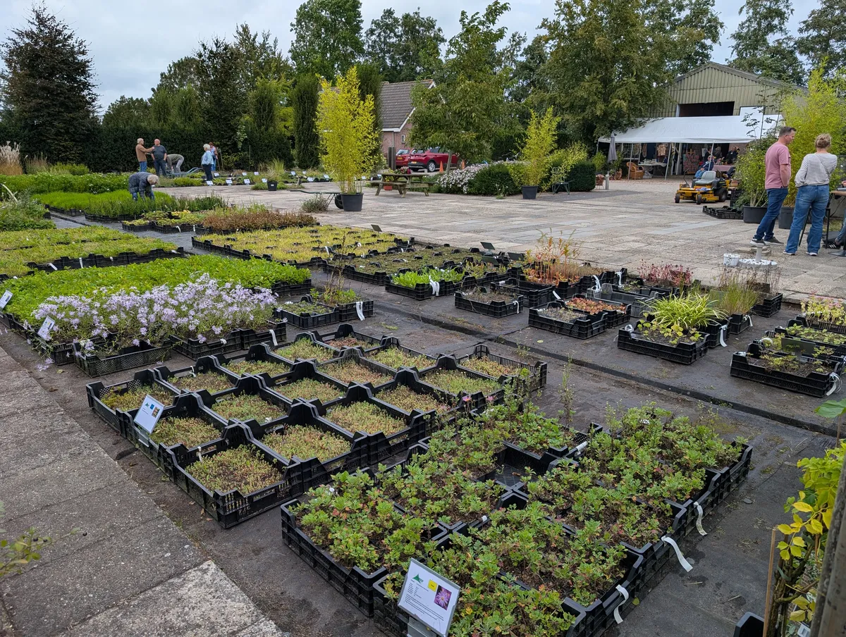 Overzicht van de kwekerij in Hoevelaken met volle plantentafels