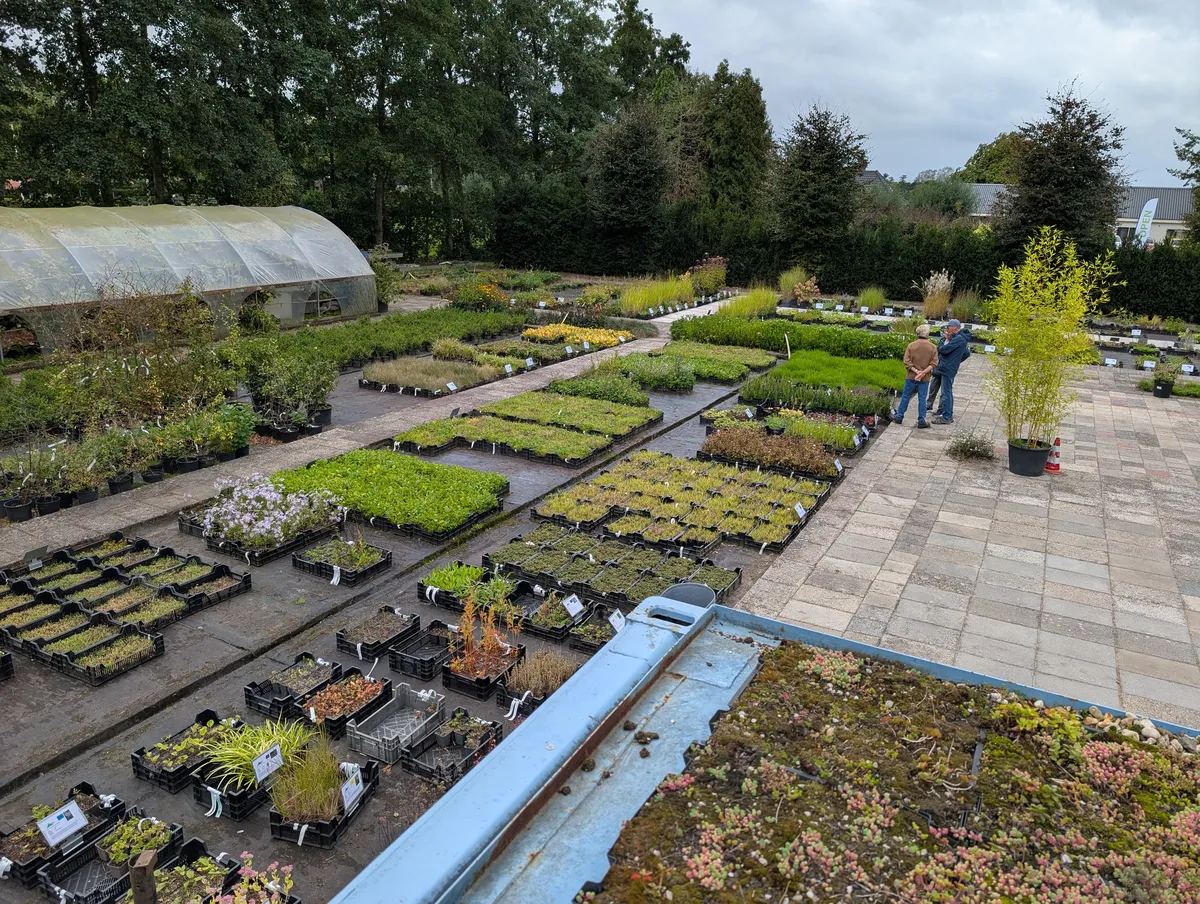 Drukbezochte kwekerij met tuinliefhebbers tussen de planten