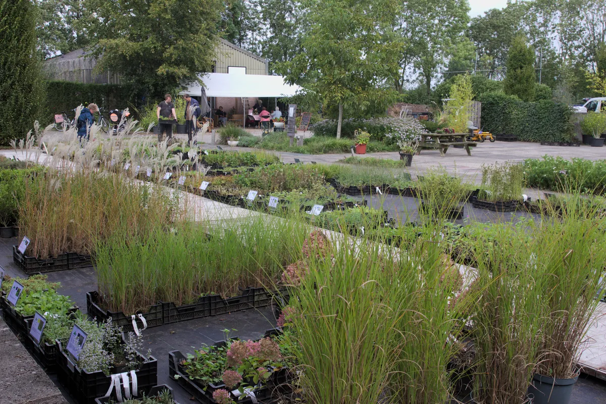 Bezoekers zoeken inheemse beplanting en kruiden uit bij de kweker