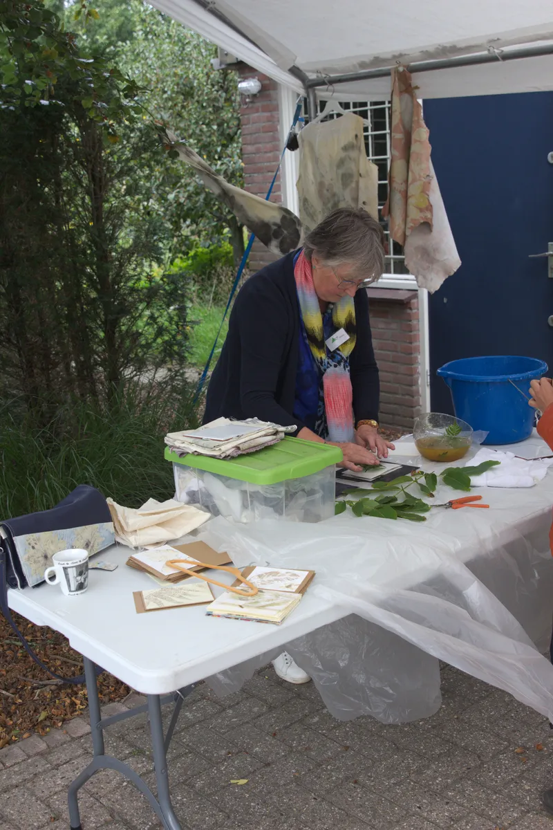 Ecoprinten op stof met bladeren en bloemen uit de tuin