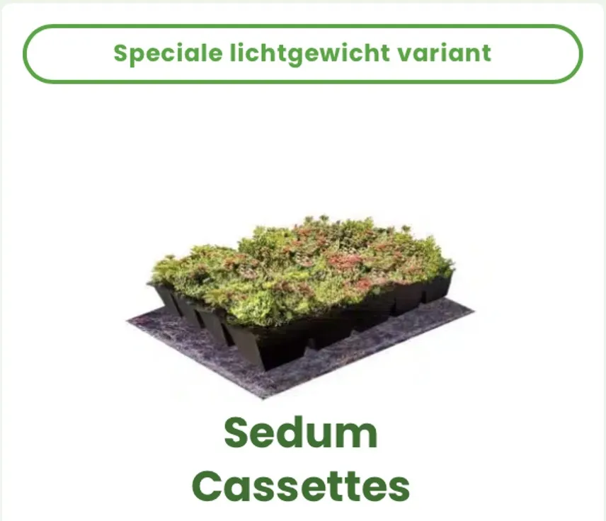 Sedum-cassettes binnen de gemeentelijke actie
