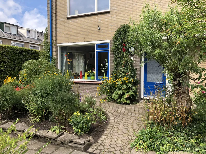 Gevarieerde beplanting in een voortuin