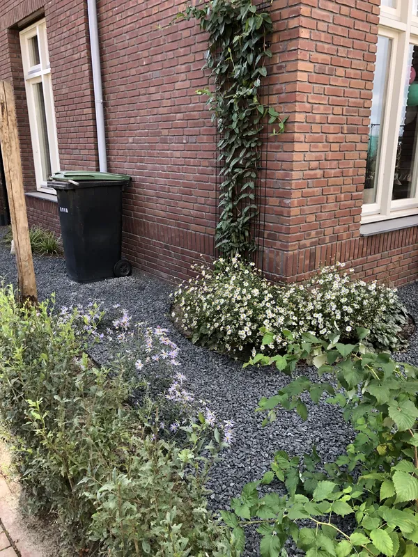 Biodiverse voortuin, gezien vanaf de zijkant