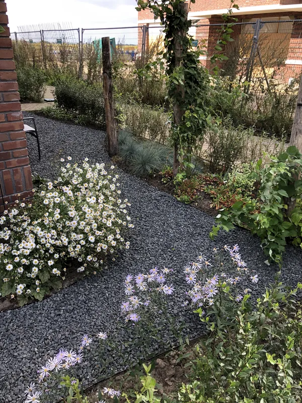 Biodiverse beplanting in een zijtuin