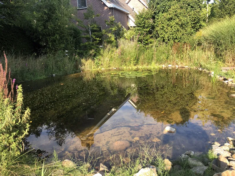 Aanleg van een vijver met natuurlijke oevers